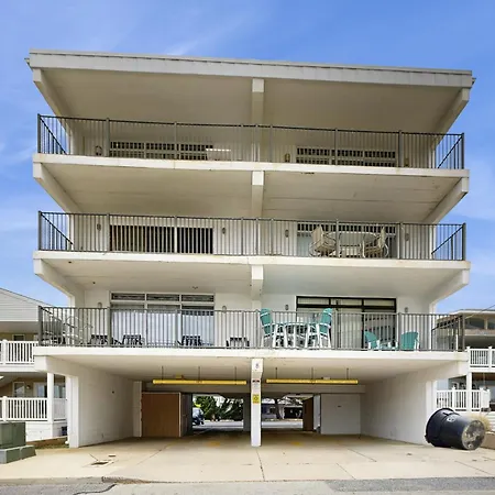 Coral Beauty Apartment